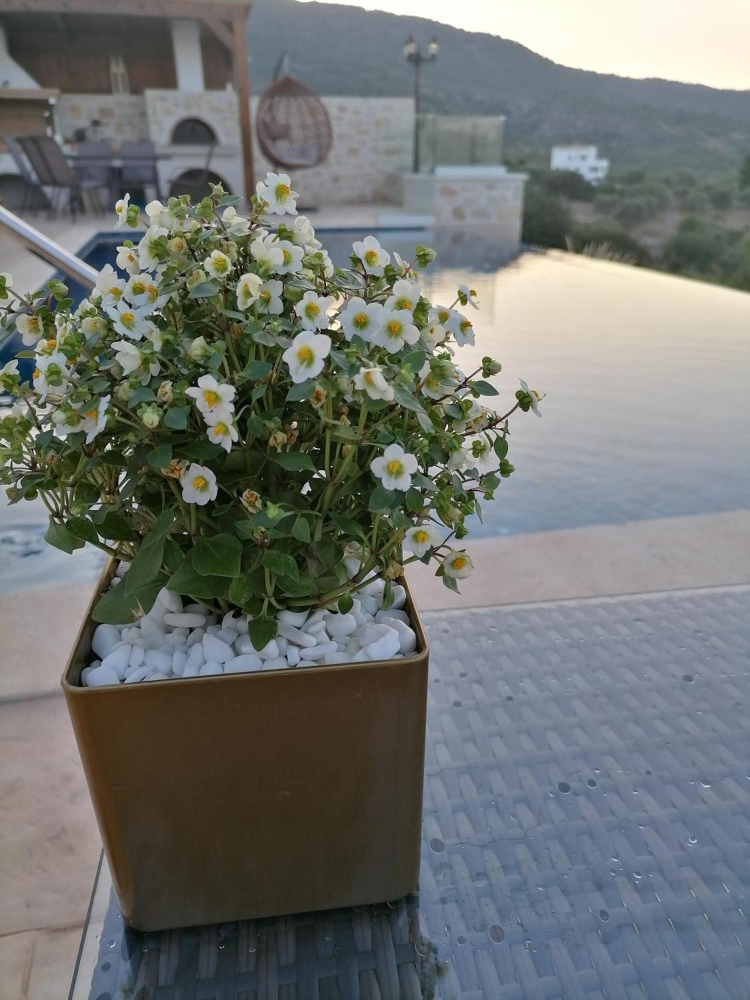Halepouri Vila Chania (Crete)